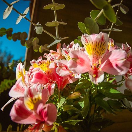 Hotel Hoja De Parra サンタ・クルス エクステリア 写真