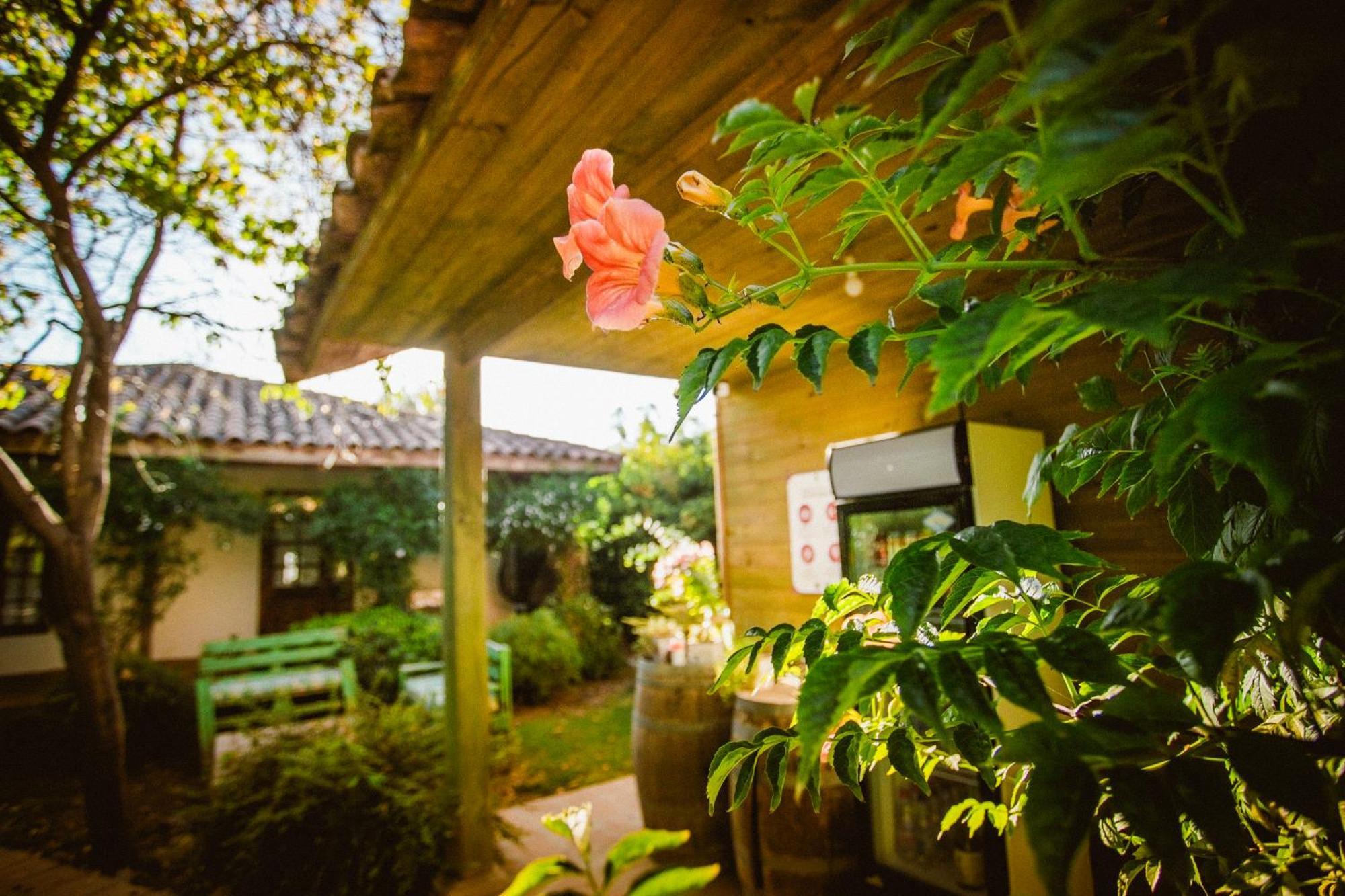 Hotel Hoja De Parra サンタ・クルス エクステリア 写真